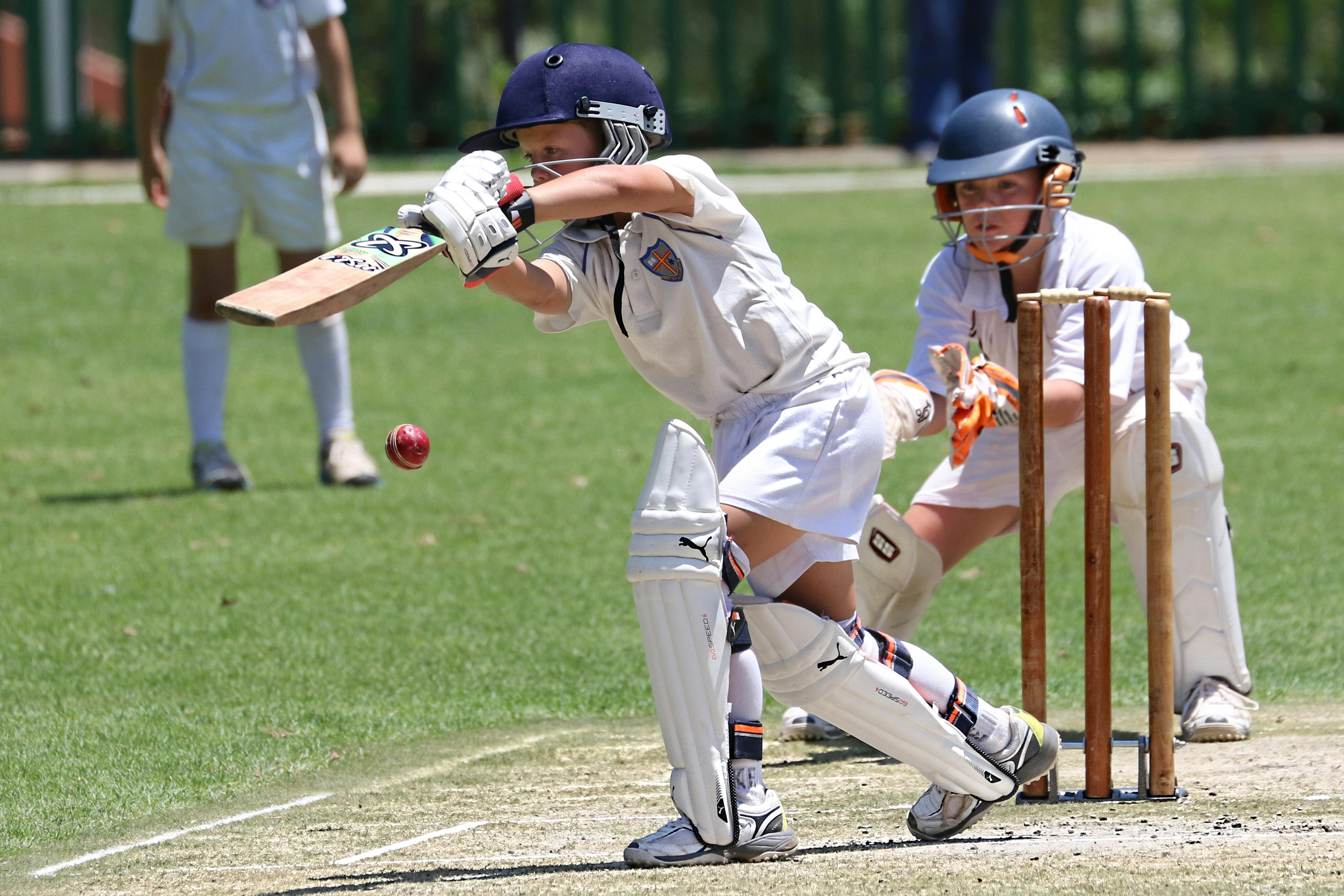 Cricket Protection